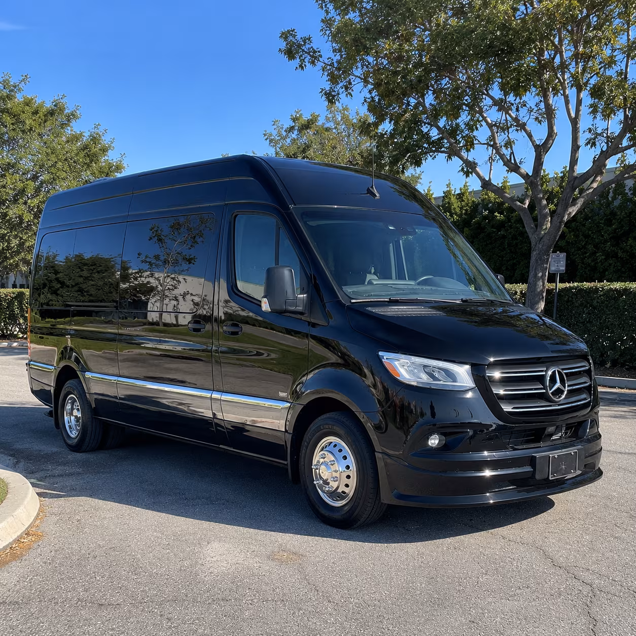 18 passenger sprinter van