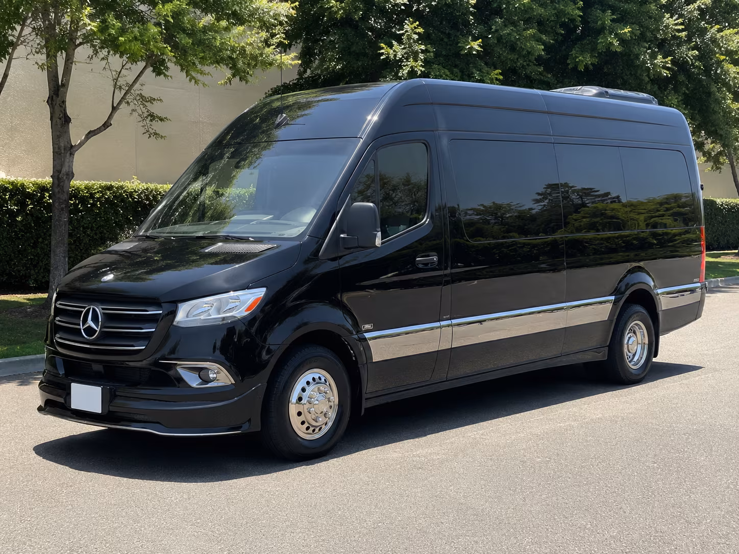charlotte 12 passenger sprinter van